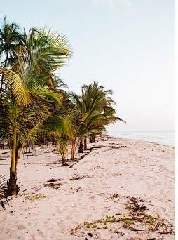 Beachfront Studio in Diani