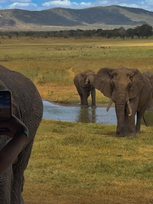 7-Day Classic Kenya Safari & Beach Experience