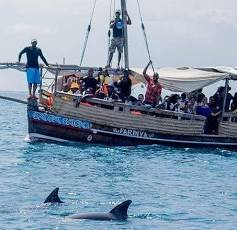 Wasini Dolphins Tour
